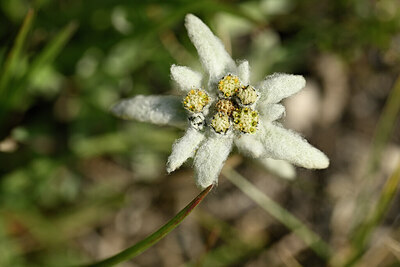 BUITEN BEELD Foto: 445555