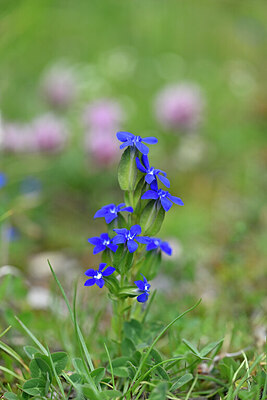 BUITEN BEELD Foto: 445563