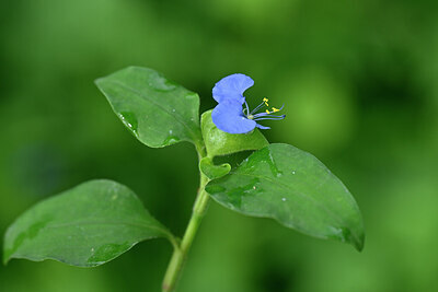 BUITEN BEELD Foto: 445566