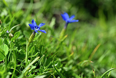 BUITEN BEELD Foto: 445573