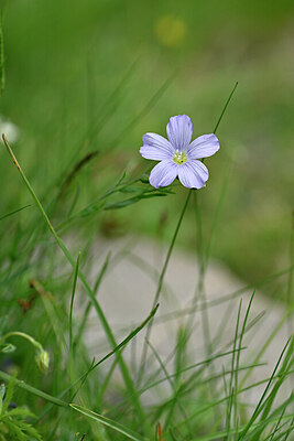 BUITEN BEELD Foto: 445578