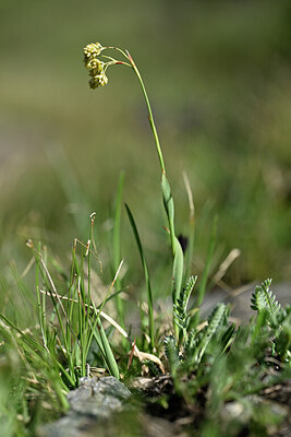 BUITEN BEELD Foto: 445581