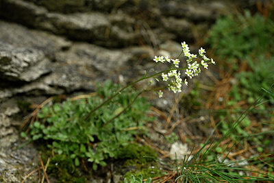 BUITEN BEELD Foto: 445582
