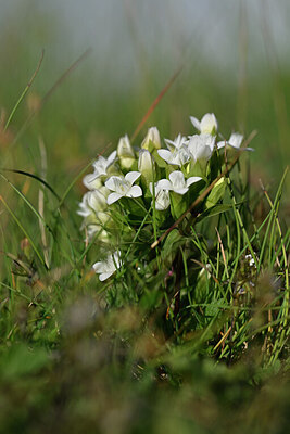 BUITEN BEELD Foto: 445583