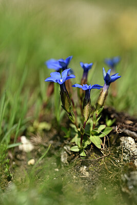 BUITEN BEELD Foto: 445604
