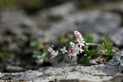 BUITEN BEELD Foto: 445618
