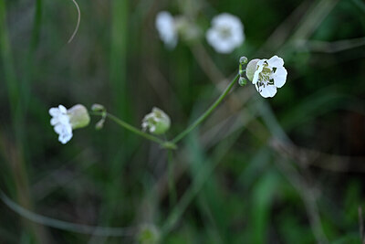 BUITEN BEELD Foto: 445623