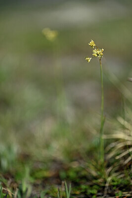 BUITEN BEELD Foto: 445631