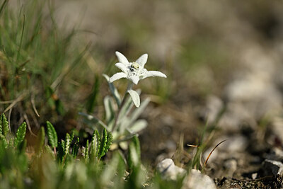 BUITEN BEELD Foto: 445642