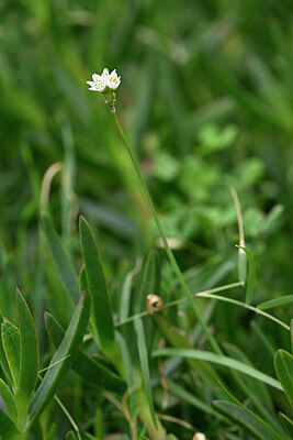 BUITEN BEELD Foto: 445650