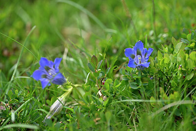BUITEN BEELD Foto: 445661