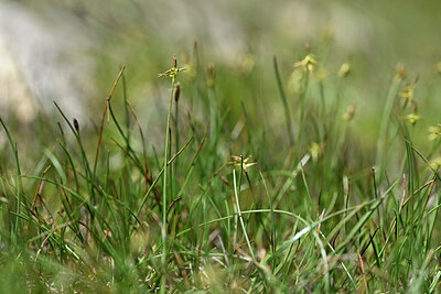 BUITEN BEELD Foto: 445671