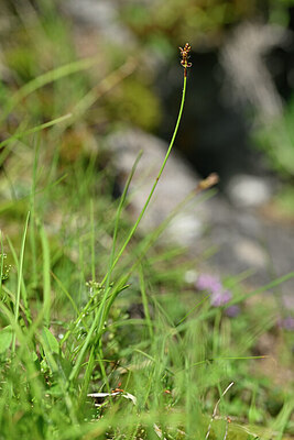 BUITEN BEELD Foto: 445694