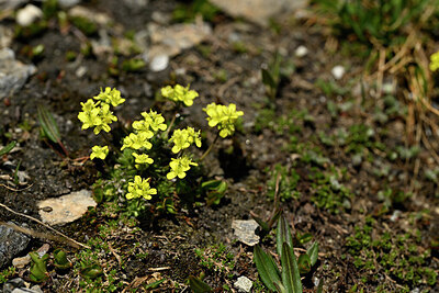 BUITEN BEELD Foto: 445699