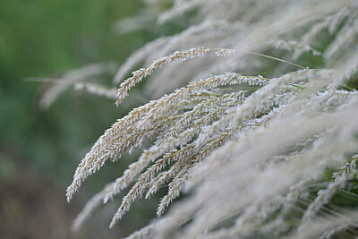 BUITEN BEELD Foto: 445700