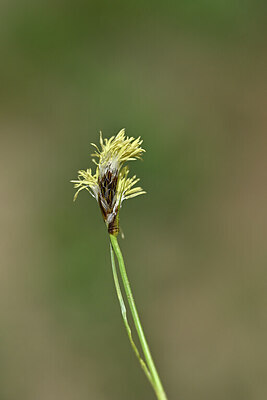 BUITEN BEELD Foto: 445725
