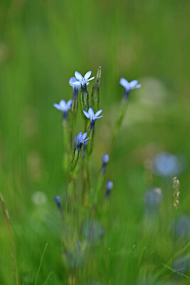 BUITEN BEELD Foto: 445726