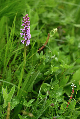 BUITEN BEELD Foto: 445727