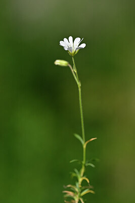 BUITEN BEELD Foto: 445730