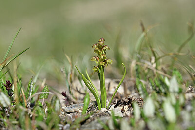 BUITEN BEELD Foto: 445732