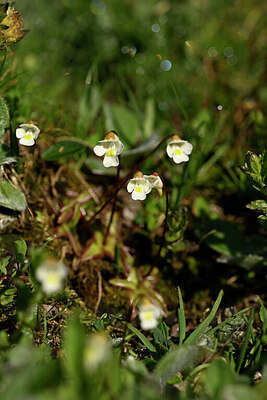 BUITEN BEELD Foto: 445733