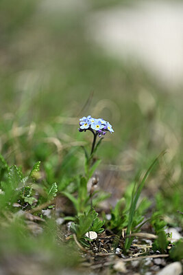 BUITEN BEELD Foto: 445737