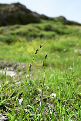 BUITEN BEELD Foto: 445742