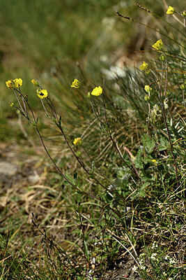 BUITEN BEELD Foto: 445750