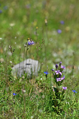 BUITEN BEELD Foto: 445753