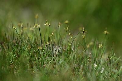 BUITEN BEELD Foto: 445763