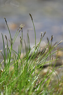 BUITEN BEELD Foto: 445764
