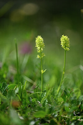 BUITEN BEELD Foto: 445773