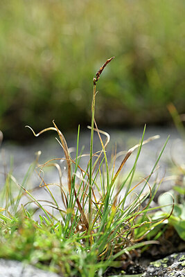 BUITEN BEELD Foto: 445780