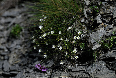 BUITEN BEELD Foto: 445793