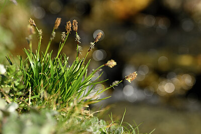 BUITEN BEELD Foto: 445795