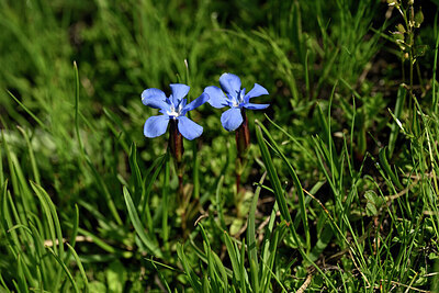 BUITEN BEELD Foto: 445833