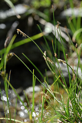 BUITEN BEELD Foto: 445837