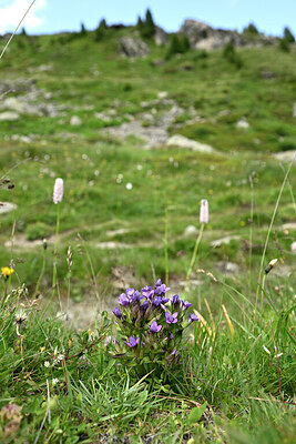 BUITEN BEELD Foto: 445840