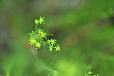 BUITEN BEELD Foto: 445843