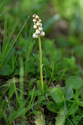 BUITEN BEELD Foto: 445844