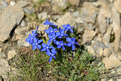 BUITEN BEELD Foto: 445850