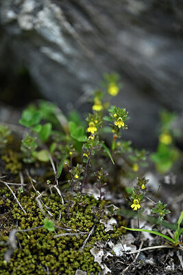 BUITEN BEELD Foto: 445854