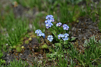 BUITEN BEELD Foto: 445856