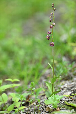 BUITEN BEELD Foto: 445859