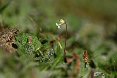 BUITEN BEELD Foto: 445873
