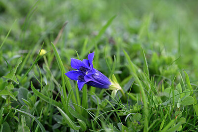 BUITEN BEELD Foto: 445882