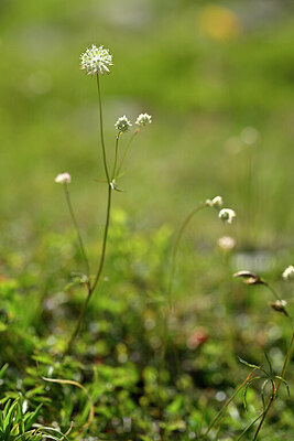 BUITEN BEELD Foto: 445883