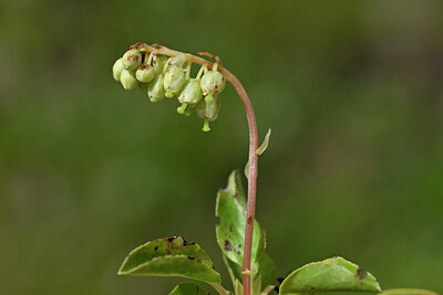 BUITEN BEELD Foto: 445889