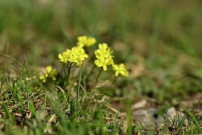 BUITEN BEELD Foto: 445890