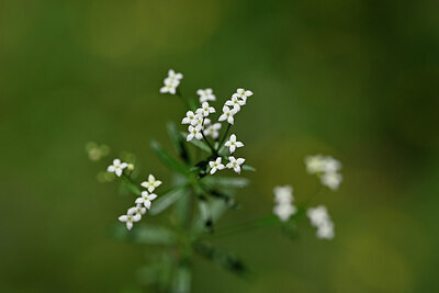 BUITEN BEELD Foto: 445894